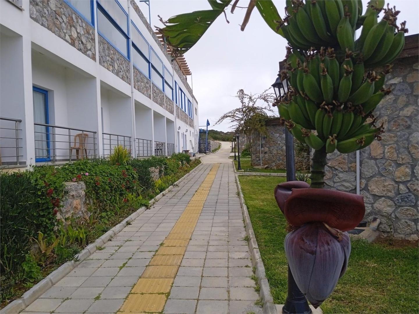 פמגוסטה Ardic Agaci Holiday Village מראה חיצוני תמונה
