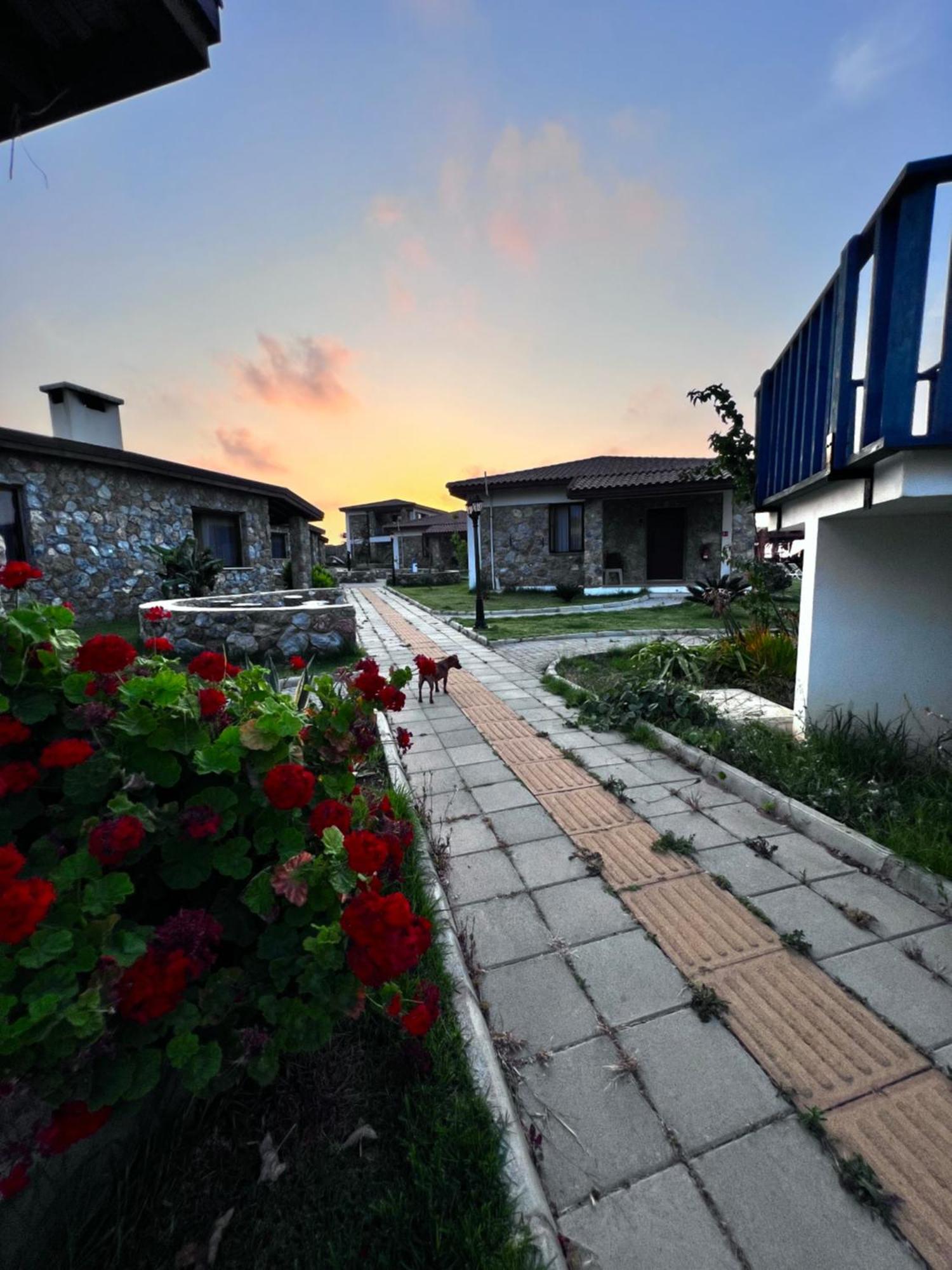 פמגוסטה Ardic Agaci Holiday Village מראה חיצוני תמונה