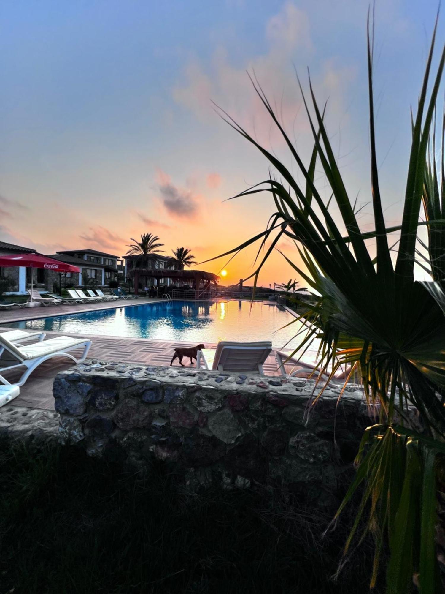 פמגוסטה Ardic Agaci Holiday Village מראה חיצוני תמונה